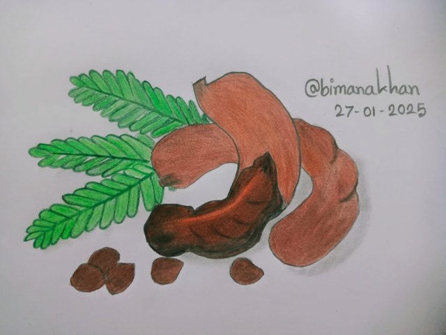 Tamarind (6).jpg