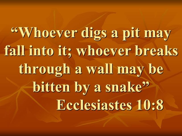 Wisdom of Solomon. Whoever digs a pit may fall into it; whoever breaks through a wall may be bitten by a snake.jpg