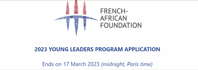 French Arican Foundation.png