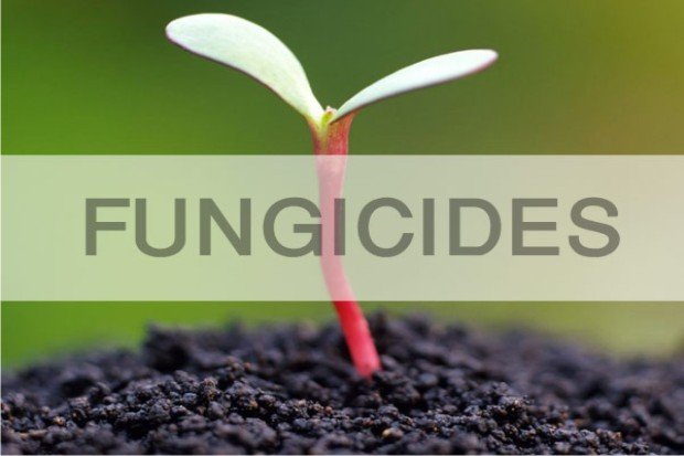 fungicides.jpg