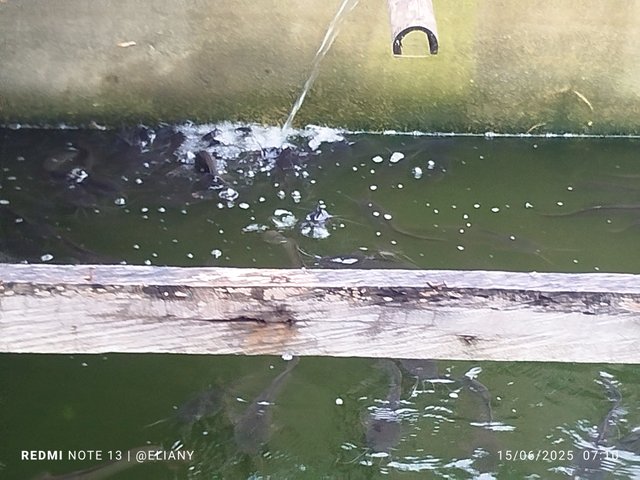 1000476220.jpg