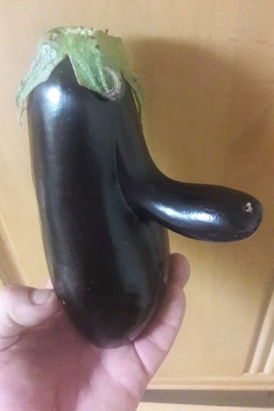 Golden Eggplant Award.jpg