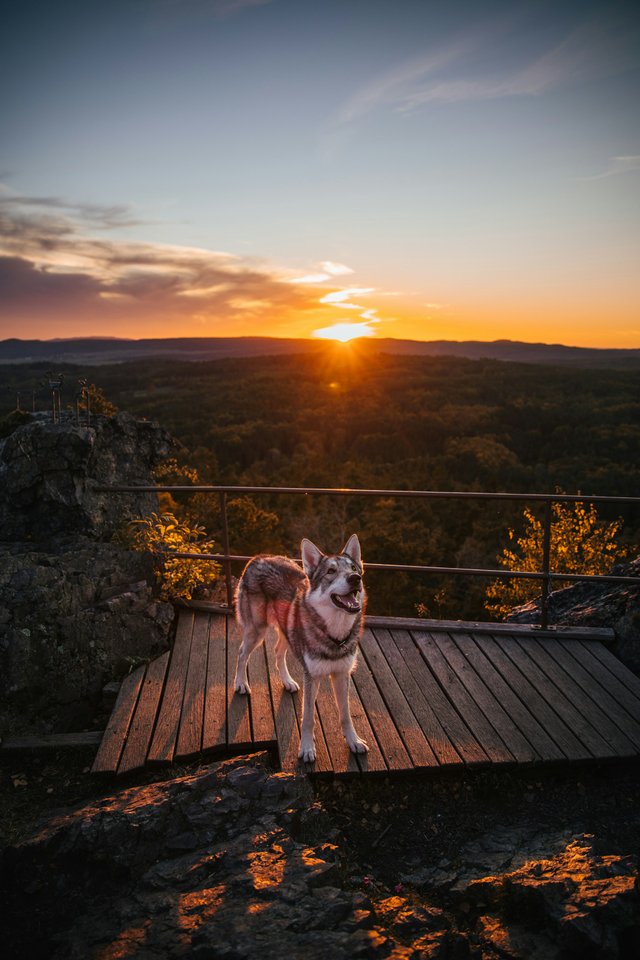 honza-reznik-WKnspdg2mq4-unsplash (1).jpg