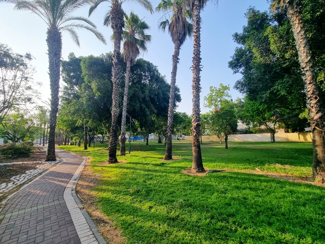 20250611_070919.jpg