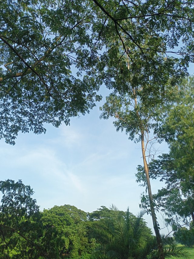 IMG20250712171119.jpg