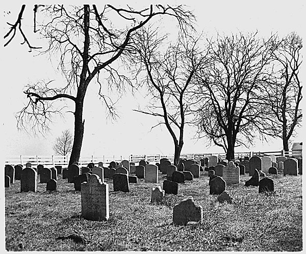 grave yard.jpg