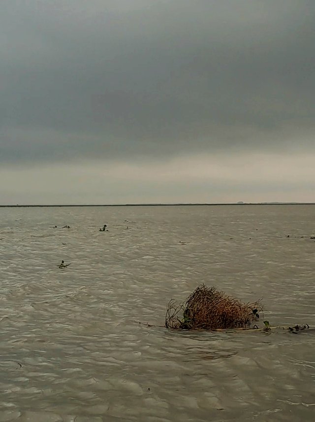 VideoCapture_20250625-010026.jpg