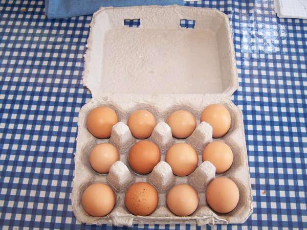 First pullet eggs sold crop September 2019.jpg