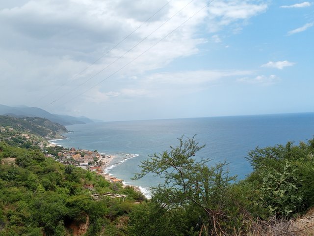 IMG_20250719_122246_236.jpg