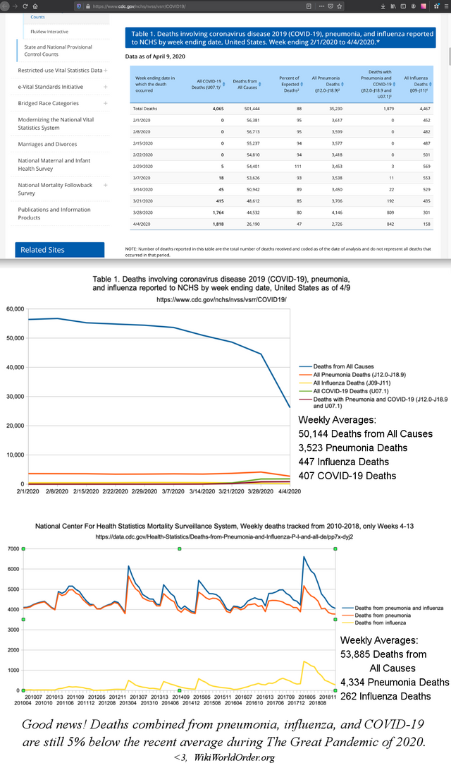 National Center for Health Statistics (NCHS) mortality surveillance data.png