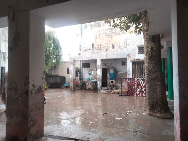 IMG20250810135912.jpg