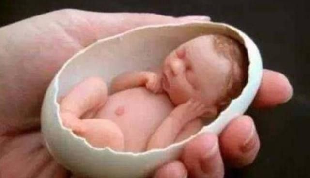 pictures of the smallest baby in the world