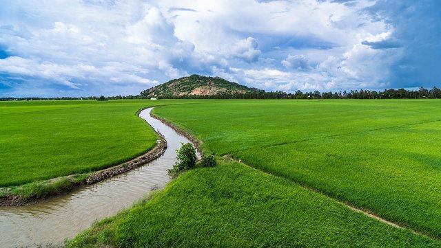 agriculture-6560523_1280.jpg