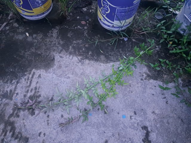 1000086500.jpg