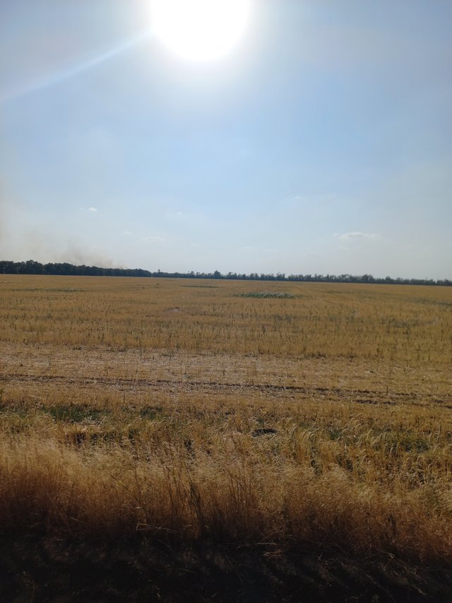 20240824_162858.jpg