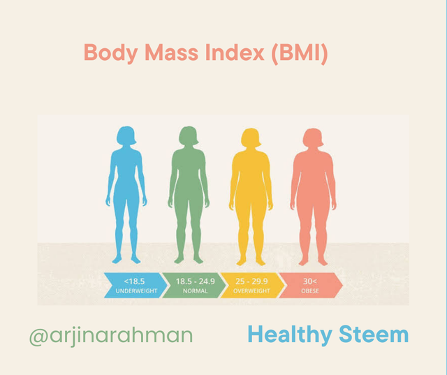 Body Mass Index (BMI)_20240805_204525_0000.png