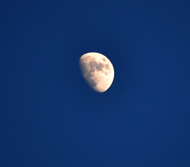 Moon April 2015.jpg