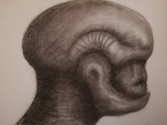 20250818_114148.jpg