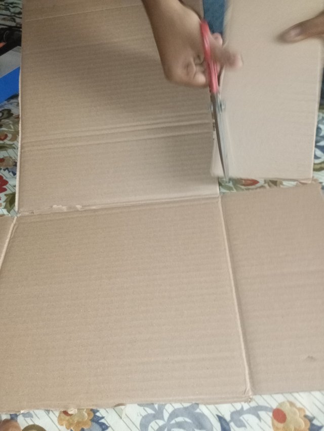 1000047285.jpg