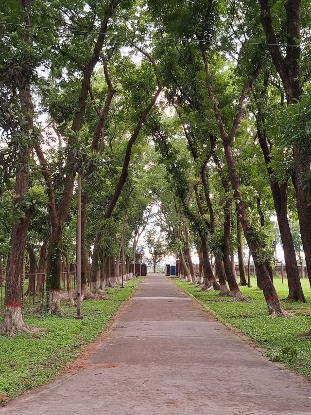 1000031950.jpg