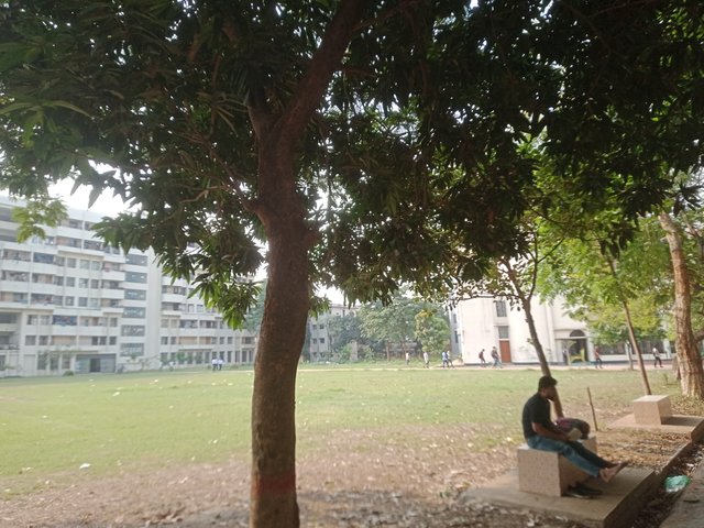 IMG20250415081730.jpg