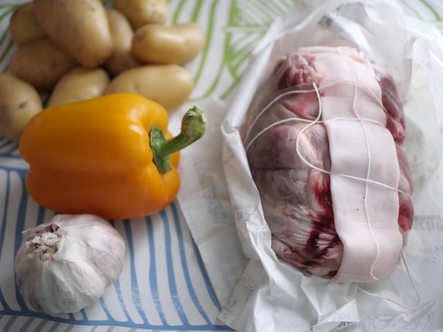 epauleagneau (2).JPG