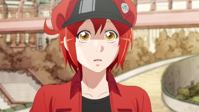 white blood cell, red blood cell, ae-3803, u-1146, killer t, and 3 more (hataraku  saibou)