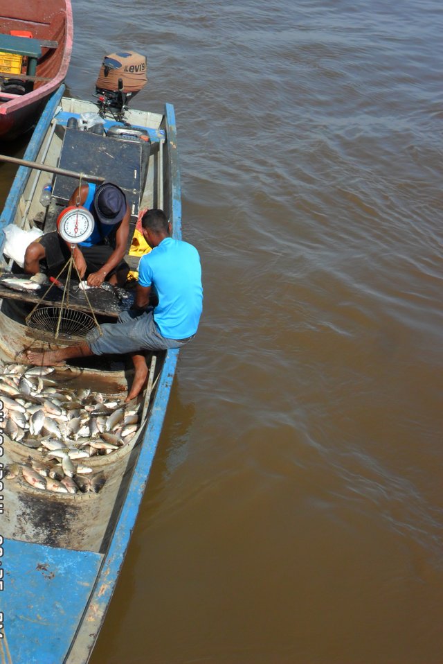 pesca.jpg