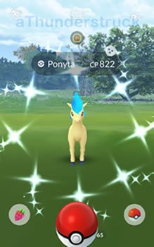 Shiny Ponyta.jpg