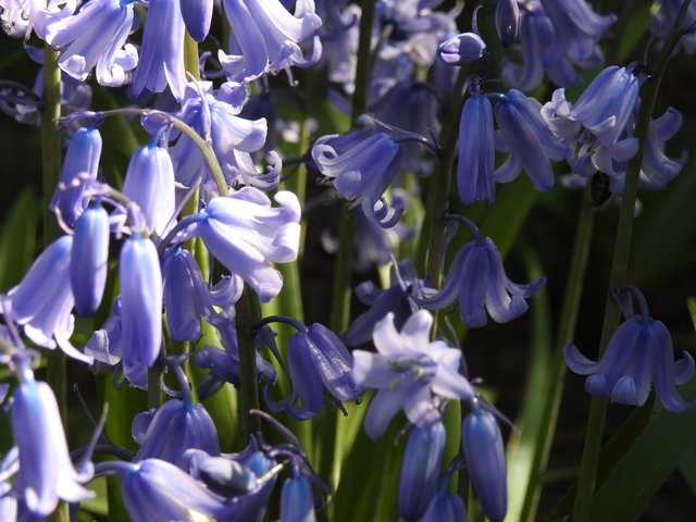 DSCN1507.JPG