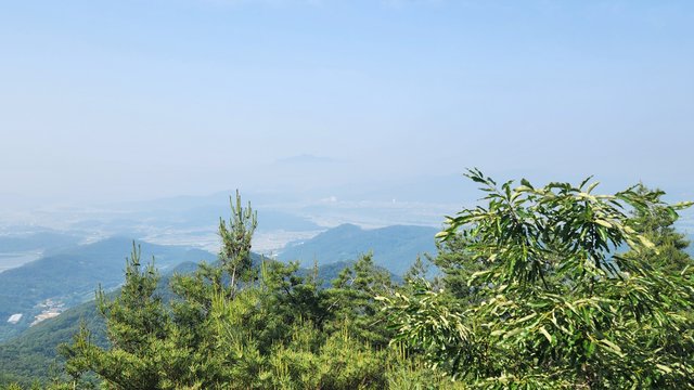 1000066830.jpg