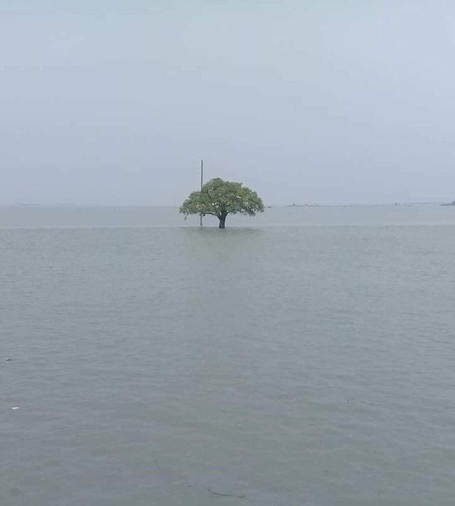 Flood Water Waterfall.jpg