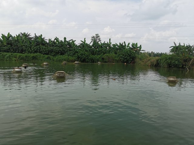 IMG_20240813_133337.jpg