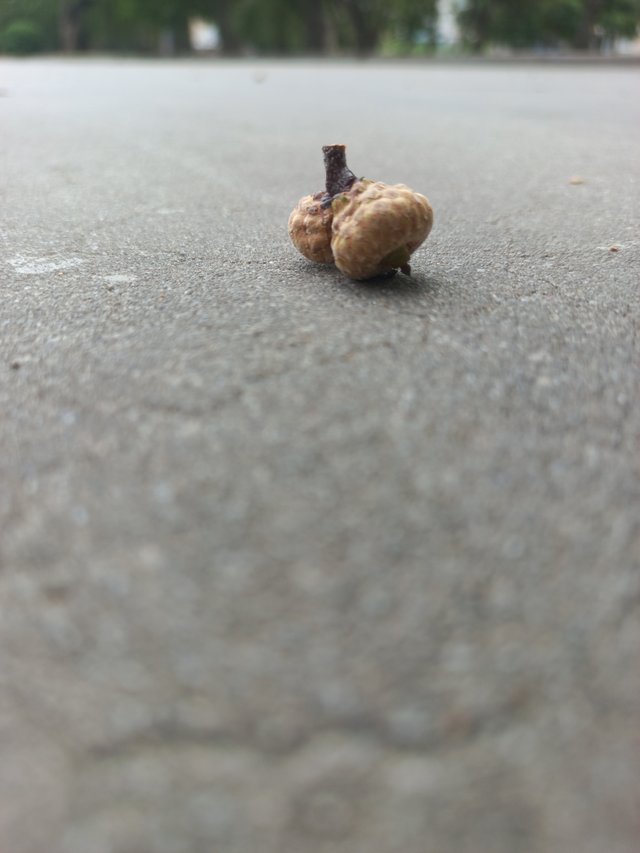 20250707_130628.jpg