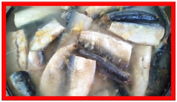 sardinas materiales 1.jpg