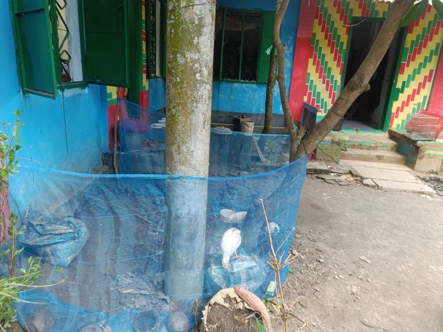 IMG20250612165127.jpg