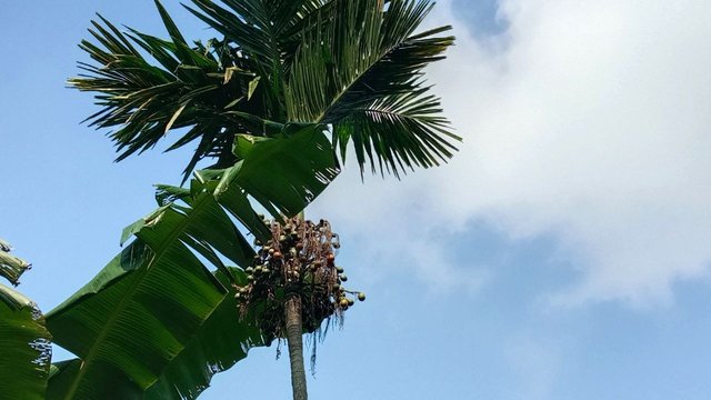 IMG_20250924_181242_879.jpg