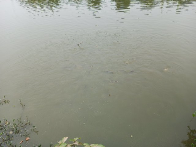 IMG_20250420_182821_962.jpg