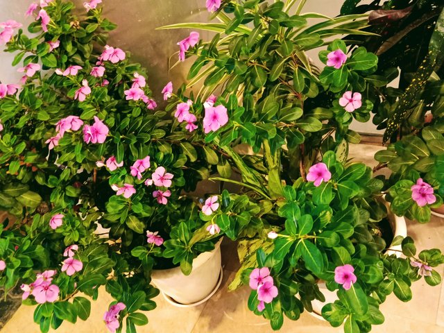 IMG_20250928_201219.jpg