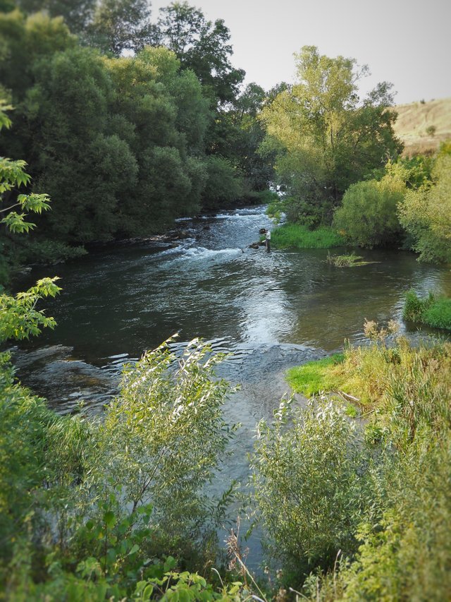 DSCN0282.JPG