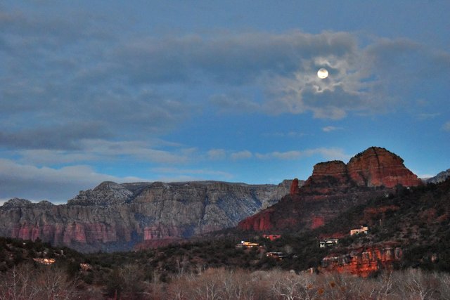 winter wolf moonrise 8x12.jpg