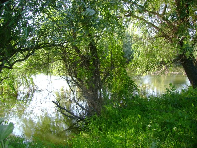 DSC00074.JPG