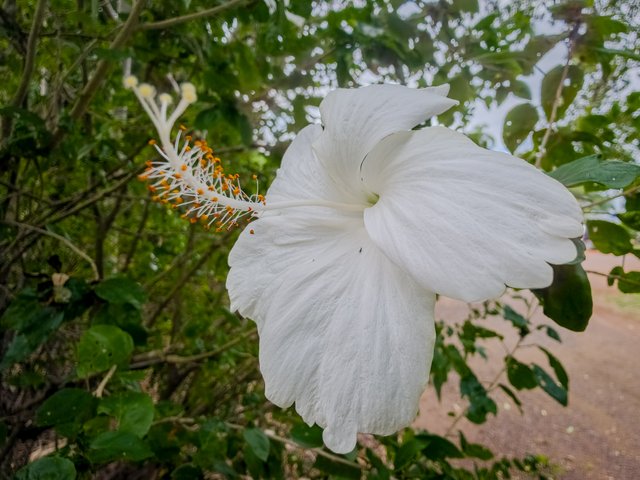 20250610_144333.jpg
