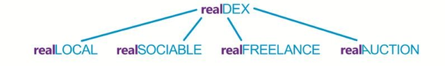 realdex categories.png