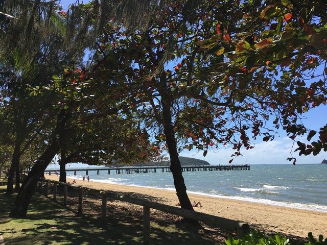 palm cove.jpg