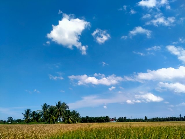 IMG20210924143343.jpg