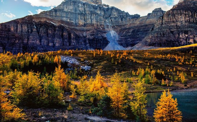 larch-valley-banff-alberta-870x540.jpg