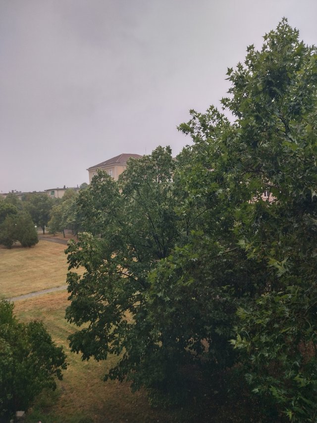 IMG_20250731_175726_HDR.jpg