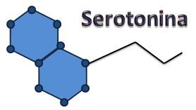serotonina.JPG
