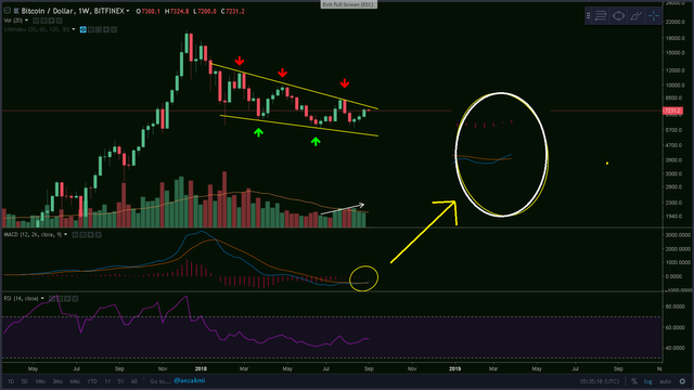 bitcoin weekly macd takeoff.png